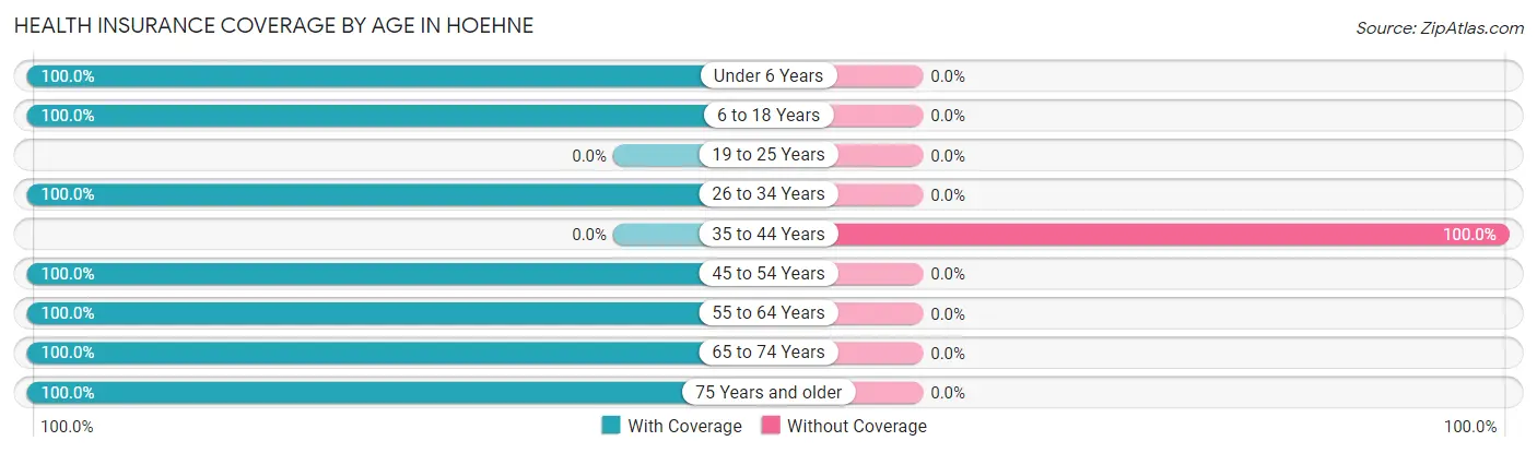 Health Insurance Coverage by Age in Hoehne