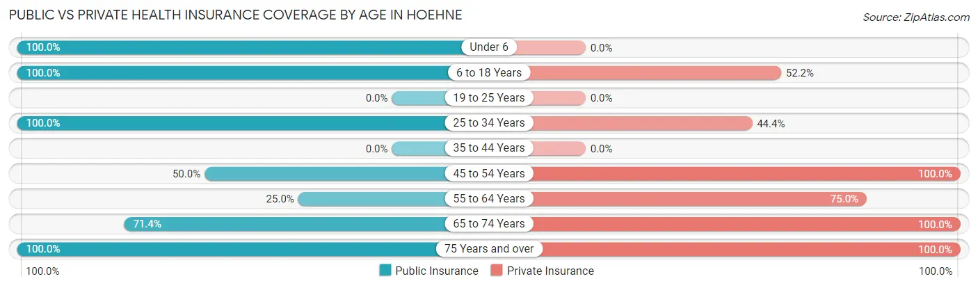 Public vs Private Health Insurance Coverage by Age in Hoehne
