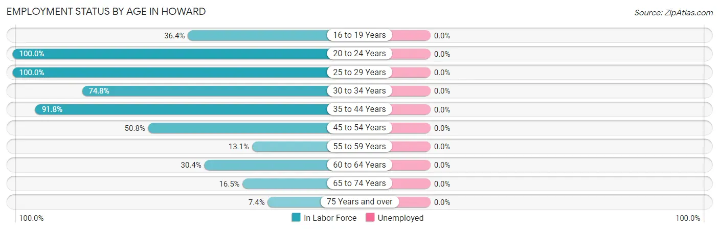Employment Status by Age in Howard