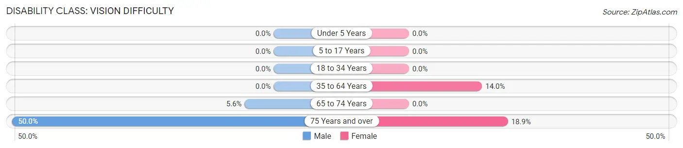 Disability in Hugo: <span>Vision Difficulty</span>