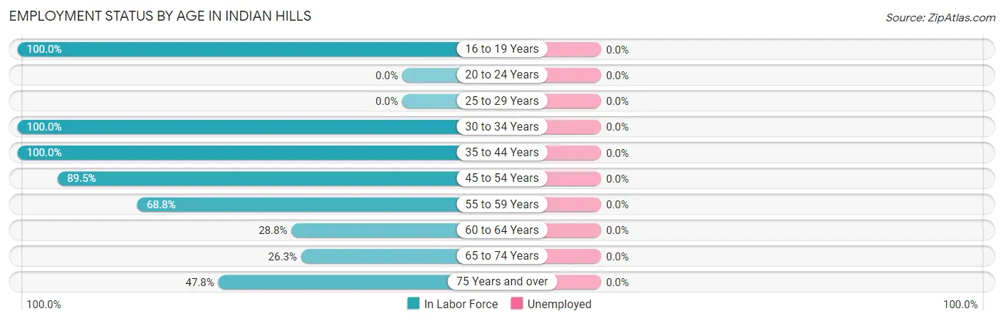 Employment Status by Age in Indian Hills