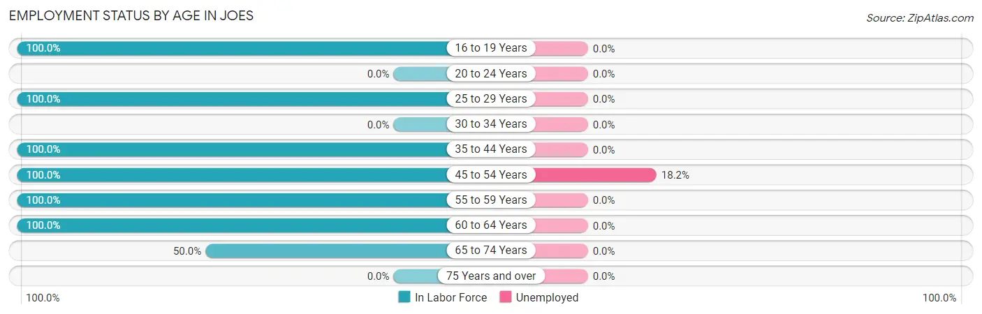 Employment Status by Age in Joes