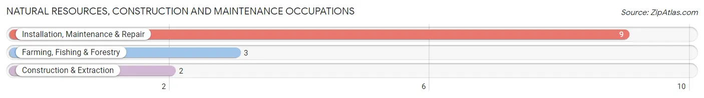 Natural Resources, Construction and Maintenance Occupations in Joes