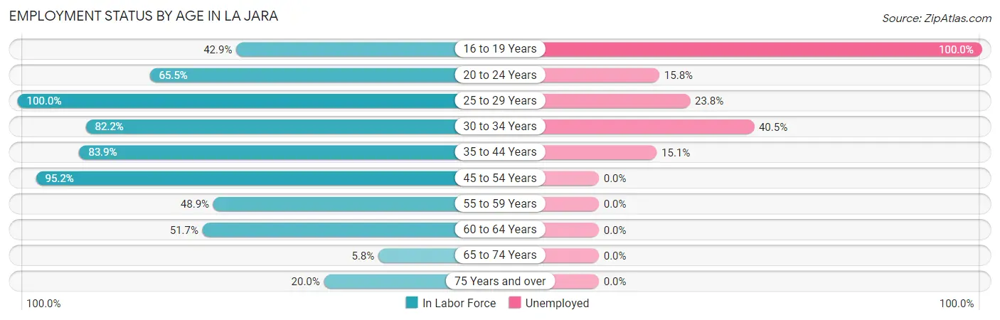 Employment Status by Age in La Jara