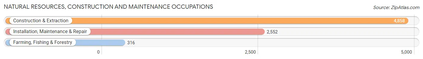 Natural Resources, Construction and Maintenance Occupations in Lakewood