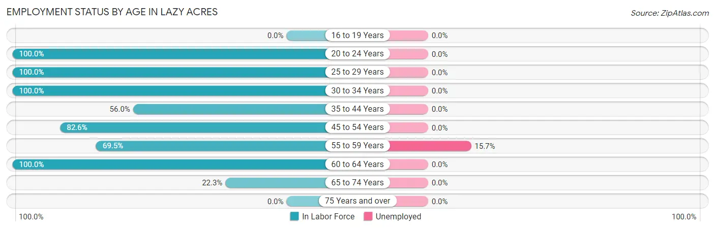 Employment Status by Age in Lazy Acres