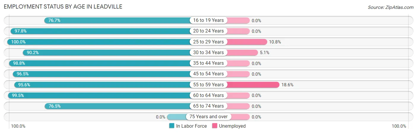 Employment Status by Age in Leadville