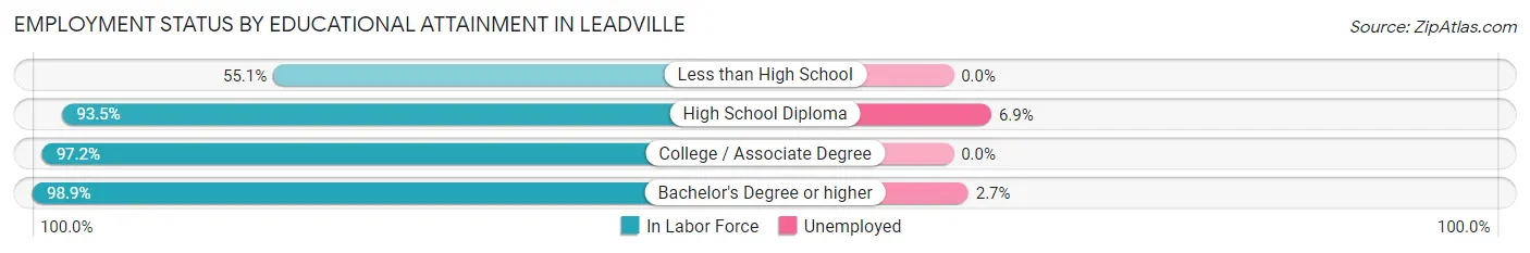 Employment Status by Educational Attainment in Leadville