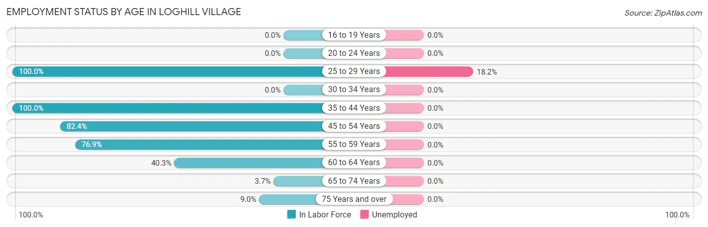 Employment Status by Age in Loghill Village