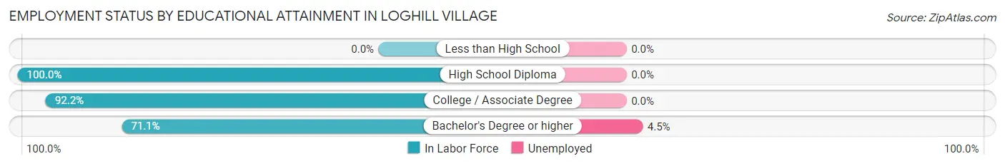 Employment Status by Educational Attainment in Loghill Village