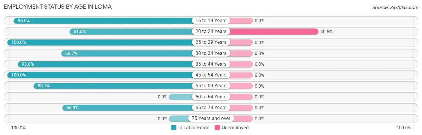 Employment Status by Age in Loma