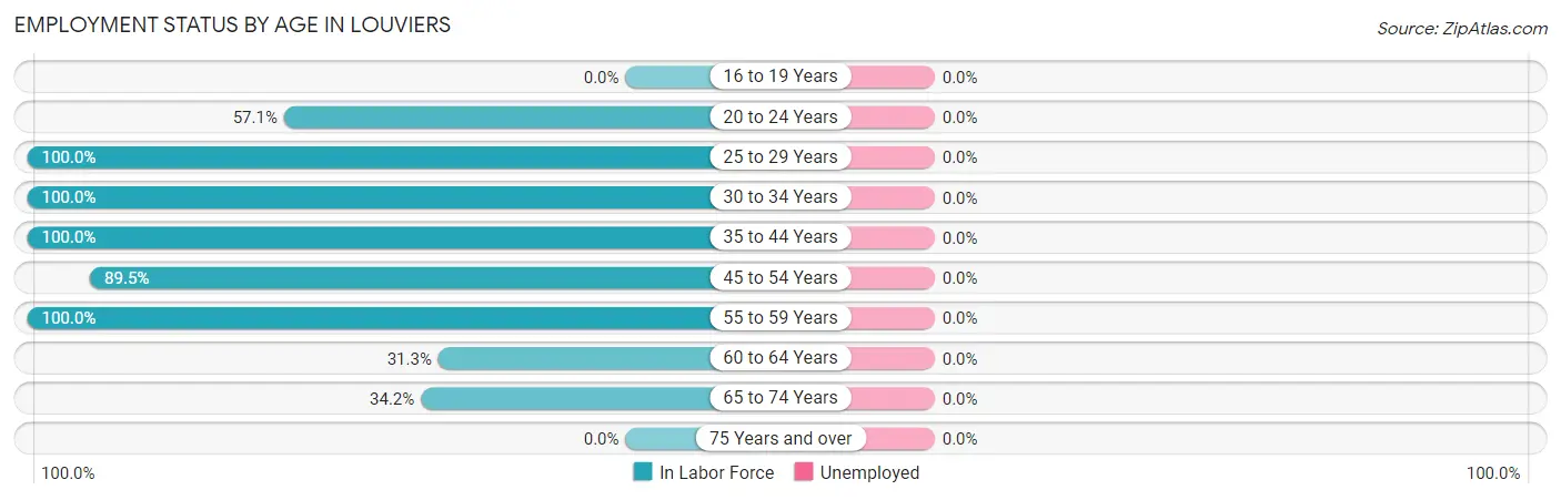 Employment Status by Age in Louviers