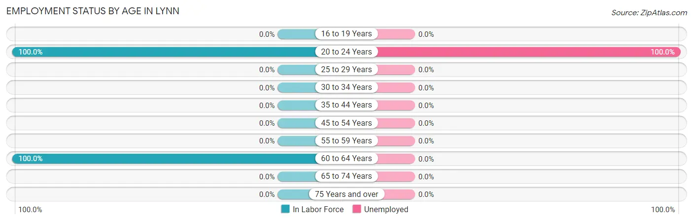 Employment Status by Age in Lynn
