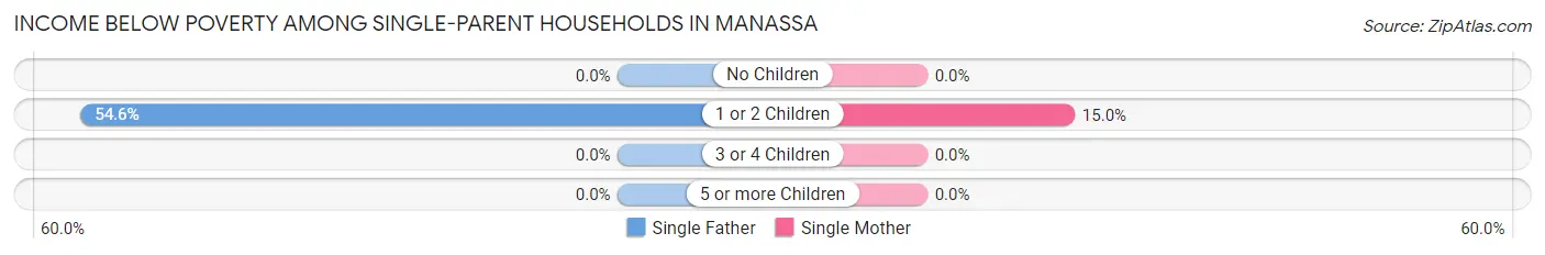 Income Below Poverty Among Single-Parent Households in Manassa