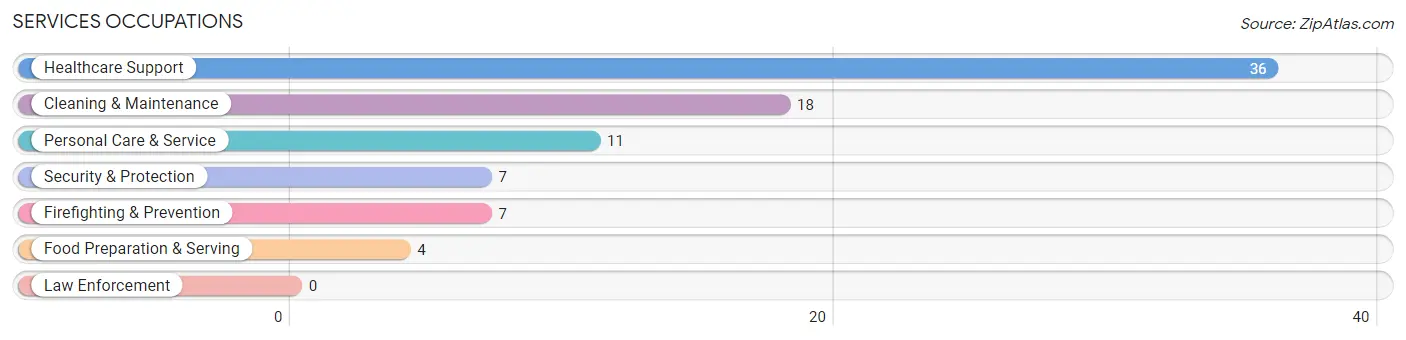 Services Occupations in Mancos