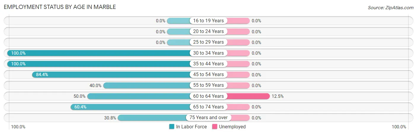 Employment Status by Age in Marble