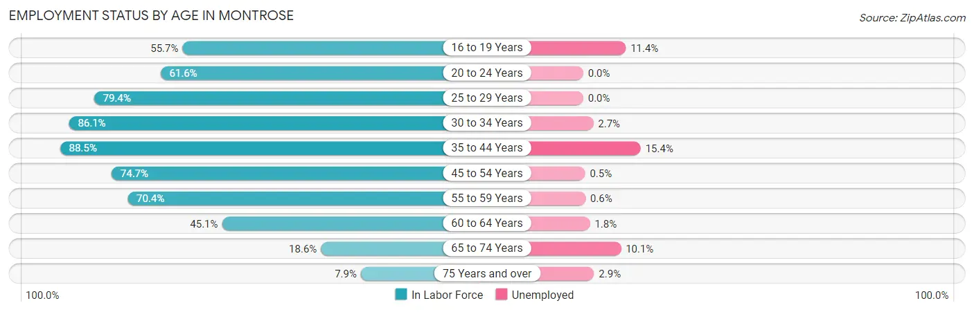 Employment Status by Age in Montrose