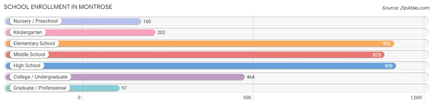 School Enrollment in Montrose