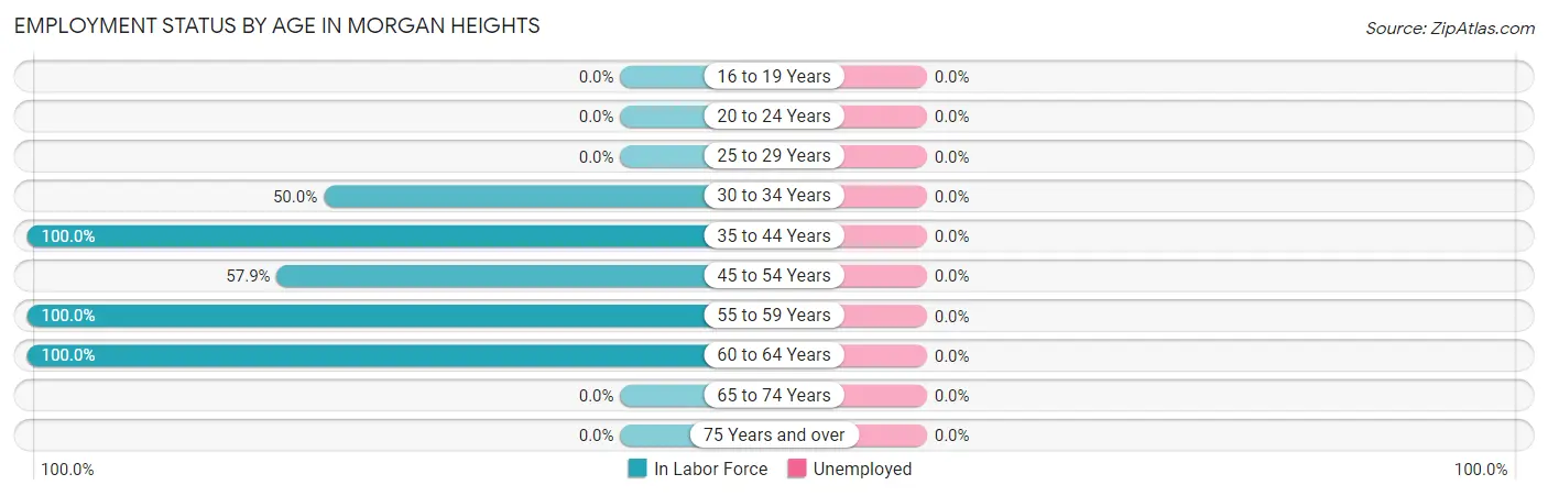 Employment Status by Age in Morgan Heights