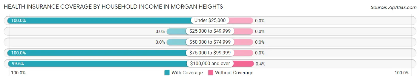Health Insurance Coverage by Household Income in Morgan Heights