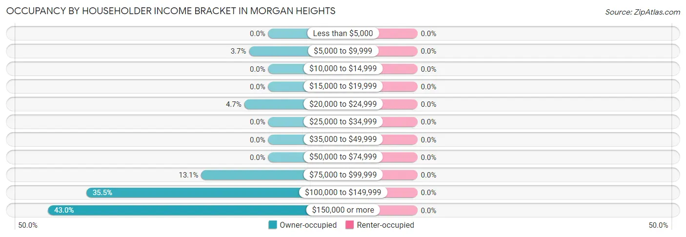 Occupancy by Householder Income Bracket in Morgan Heights