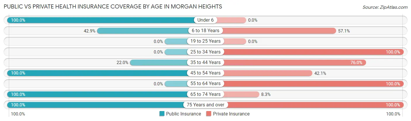 Public vs Private Health Insurance Coverage by Age in Morgan Heights
