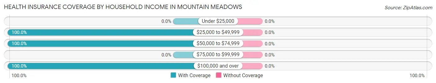 Health Insurance Coverage by Household Income in Mountain Meadows