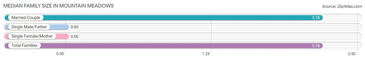 Median Family Size in Mountain Meadows