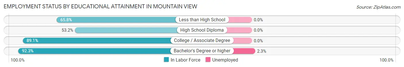 Employment Status by Educational Attainment in Mountain View