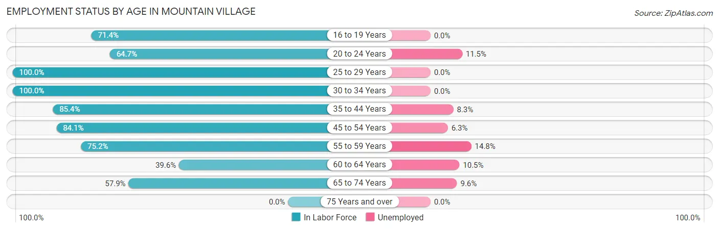 Employment Status by Age in Mountain Village
