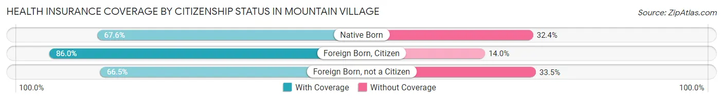 Health Insurance Coverage by Citizenship Status in Mountain Village