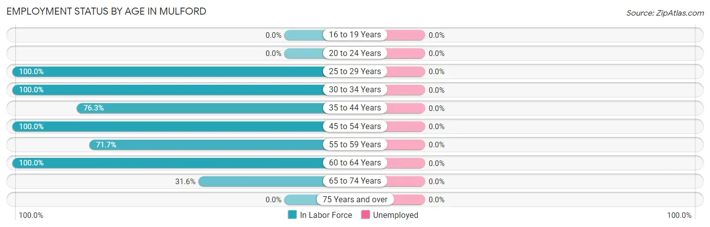 Employment Status by Age in Mulford
