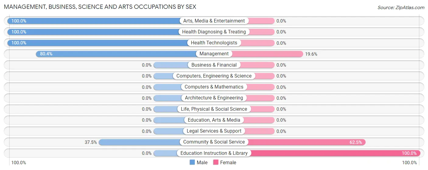 Management, Business, Science and Arts Occupations by Sex in Mulford
