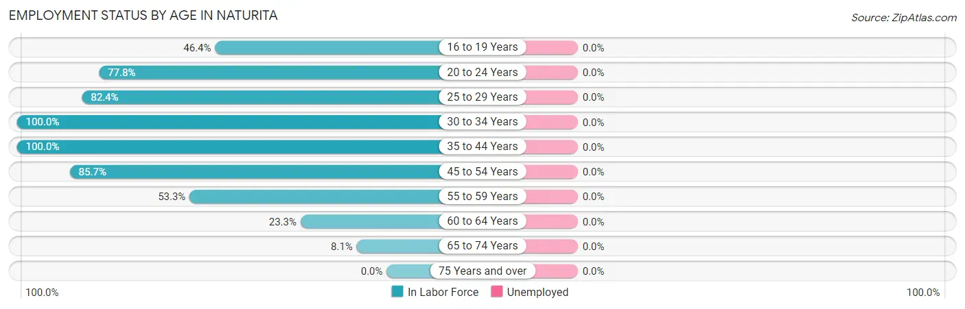 Employment Status by Age in Naturita