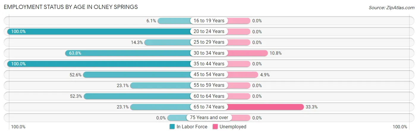 Employment Status by Age in Olney Springs