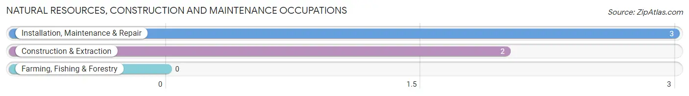 Natural Resources, Construction and Maintenance Occupations in Ophir