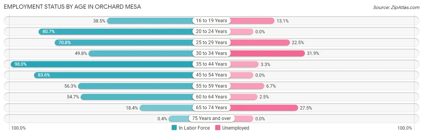 Employment Status by Age in Orchard Mesa