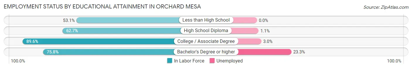 Employment Status by Educational Attainment in Orchard Mesa