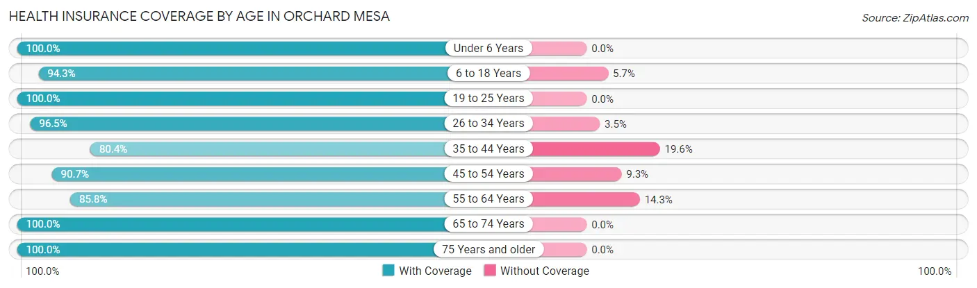 Health Insurance Coverage by Age in Orchard Mesa
