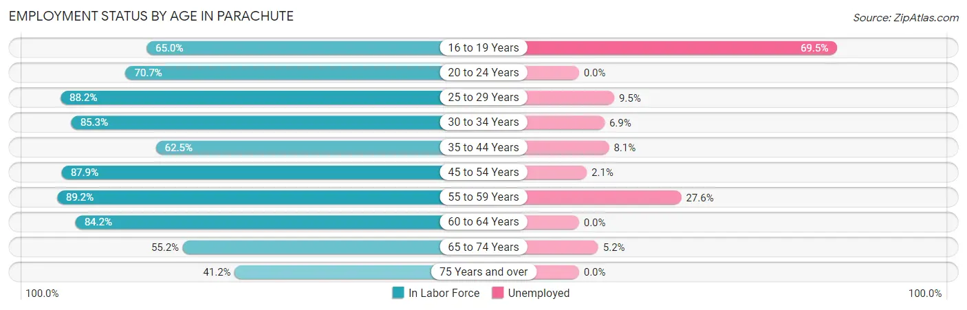 Employment Status by Age in Parachute