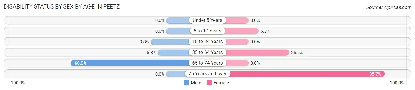 Disability Status by Sex by Age in Peetz