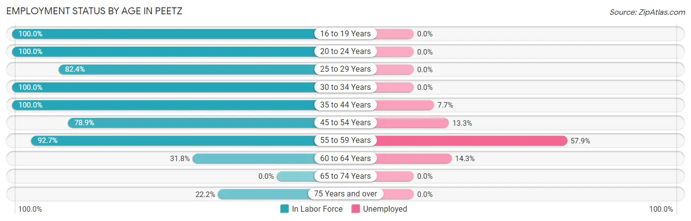 Employment Status by Age in Peetz
