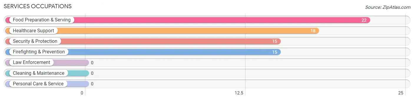Services Occupations in Perry Park