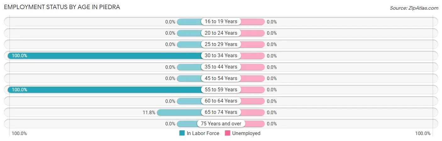 Employment Status by Age in Piedra