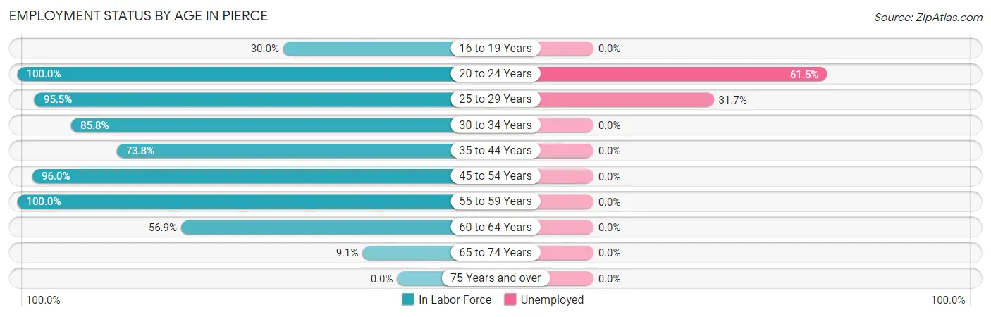 Employment Status by Age in Pierce