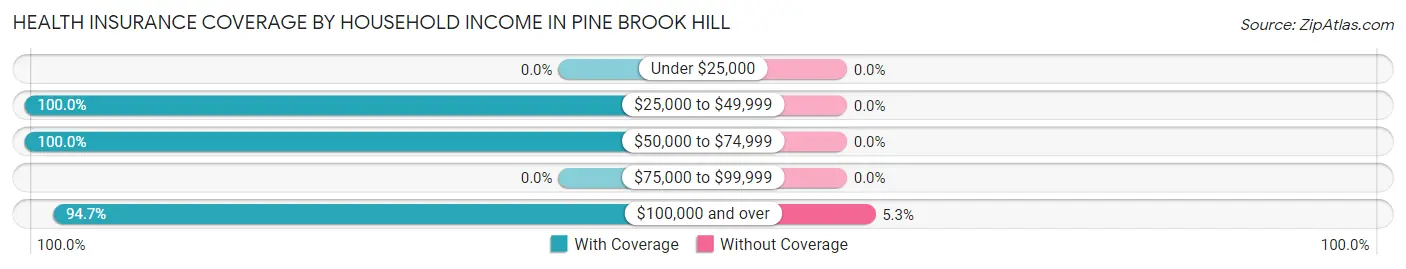 Health Insurance Coverage by Household Income in Pine Brook Hill