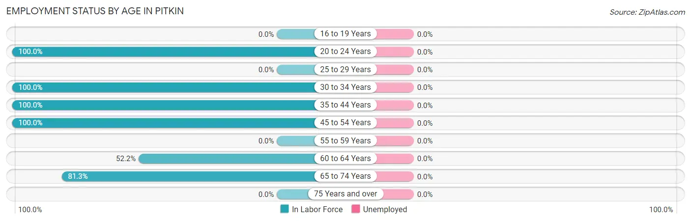 Employment Status by Age in Pitkin