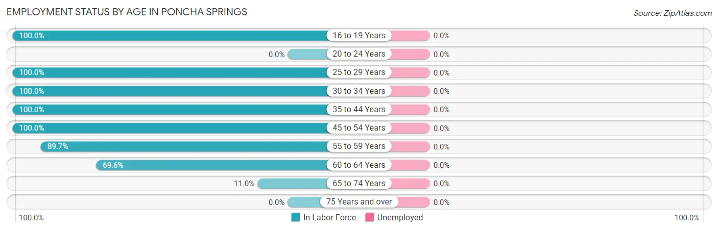 Employment Status by Age in Poncha Springs