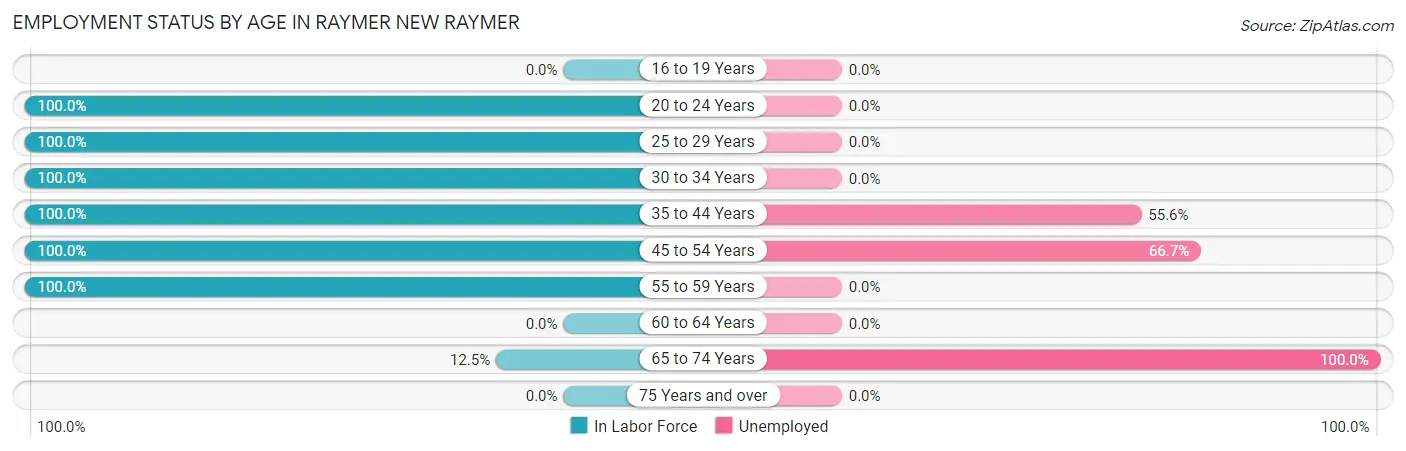 Employment Status by Age in Raymer New Raymer