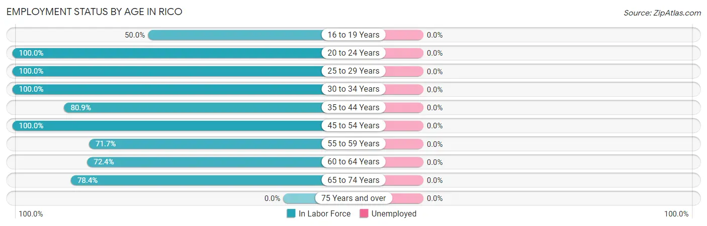 Employment Status by Age in Rico